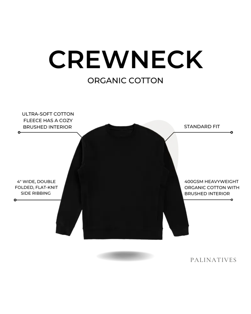 "Samed" Pali Bear Organic Cotton Crewneck Sweatshirt - Image 3